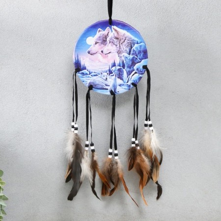 Dreaming Catcher 154 "Look in the night" Circle d = 16 cm