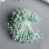 Stamens for flowers "Drops mature green" d = 1.5 mm set 400 pcs length 6 cm