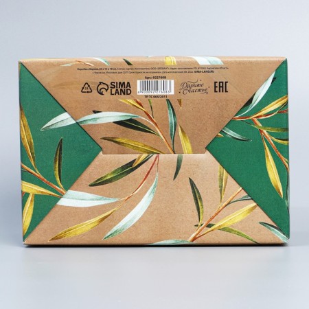 Box Gift team, packaging, "Present", 22 x 15 x 10 cm-4