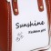 Bag Women's Tout with zipper, brown color