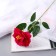 Artificial flowers "Rose Pretty" D-10 cm 55 cm, raspberry