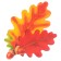 Poster "Oak leaves" 25x20 cm