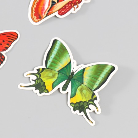 Butterflies cardboard "natural" set 12 pcs h = 4-10 cm-3