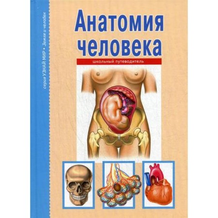 Human anatomy. Find out the world. Afonkin S.Yu.