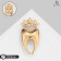 Tooth brooch with a crown, white color in gold
