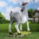 Garden figure "Small goat" 47x43x20cm