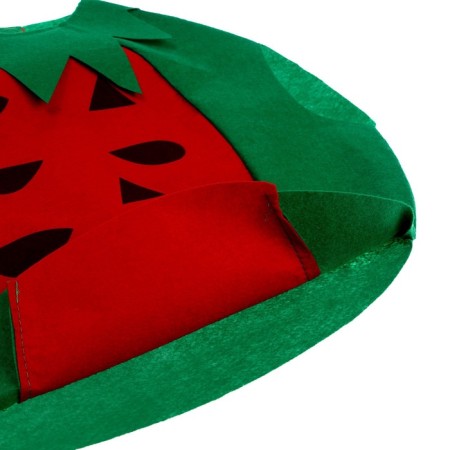 Carnival set "Funny watermelon", felt-10