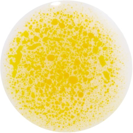 Lip oil influence Beauty Lava Lip Oil, two -phase tone 02, 6 ml-1