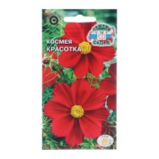 Cosmea Flower seeds 