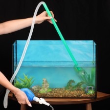 Aquarium 