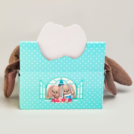 Soft toy "Bunny Li" in showbox-6