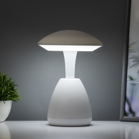 Table lamp "SOPP" LED 3W sensor 3000-6000K USB AKB 14.5x14.5x21 cm Risalux-4