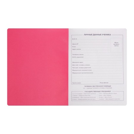 School diary for grades 1-11 "Bunny", solid cover, artificial leather, artificial leather applique, silkography, liesse, 48 sheets, 80g/m2-3