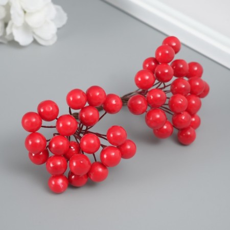 Decor for creativity "Berries" length 1.2 cm, red-1