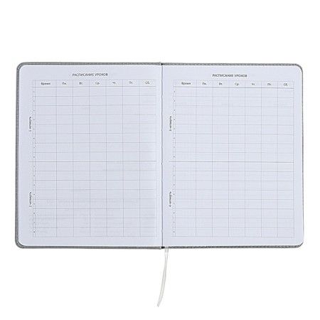 The universal diary for grade 1-11 did not take the sausage, solid cover, artificial leather, with foam rubber, liesse, 80 g/m2-4