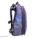 School backpack 38 x 30 x 16 cm, ergonomic back, stavia "cat"