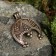 Suspension - amulet "Lunnitsa. Balance ", brass, height 44, width 38