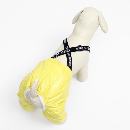 Complex-stroke for dogs, size S (DS 31, from 34 cm), yellow-2