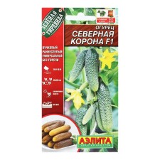 Seeds of cucumber 