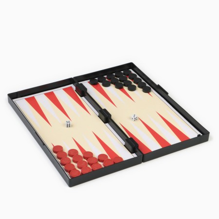 Board game 3 in 1 "Zuk": backgammon, chess, checkers, magnetic board 24.5 x 24.5 cm-2