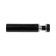 Remote holder for plates, 12x50 mm, black color, set 10 pcs.