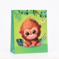Gift package 