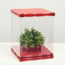 Box for flowers with a vase and PVC windows are folding, red, 23 x 30 x 23 cm