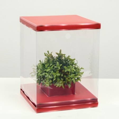 Box for flowers with a vase and PVC windows are folding, red, 23 x 30 x 23 cm