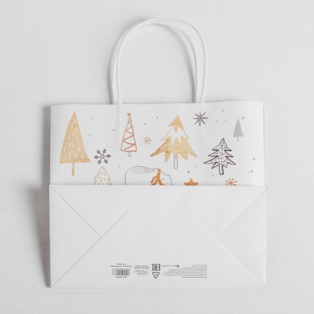 Package Gift craft "Magic", 25 x 22 x 12 cm, New Year-4