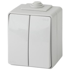 Double IP65, 10AX-250V, OU, Era Expert, Gray
