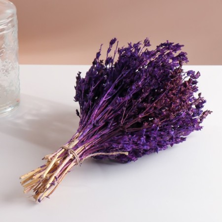 Set of dried flowers "chandra", banch length 40 (+/- 6 cm), purple-3