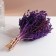 Set of dried flowers "chandra", banch length 40 (+/- 6 cm), purple