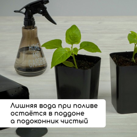 Set for seedlings: glasses of 700 ml (10 pcs), pan 44 × 18 cm, black, Greengo-5