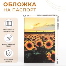Cover for passport, colorful color