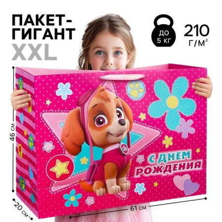 Gift package "Happy Birthday" 61x46x20 cm, packaging, puppy patrol