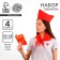 Pioneer-Party Pioneer Pioneer Set, tie, cap, icon, charter