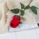 Artificial flowers "Karina" 4x46 cm, red