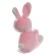 Soft toy "Bunny", with a rattle