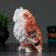 Piggy bank "Eagle owl" 13x16x20cm