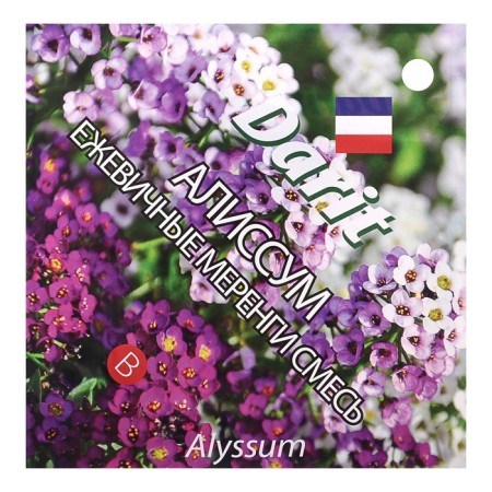Alissum flowers "Blackmary Merengi", O, Darit 0.2 g-2