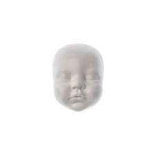 Mold Silicon 