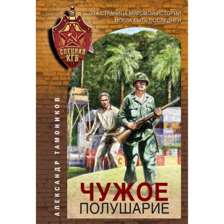 Alien hemisphere. Tamonikov A.A.