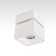 Citilux "Istana" CL558020N, ​​7.6x7.6 cm, 1x8W, LED, white color