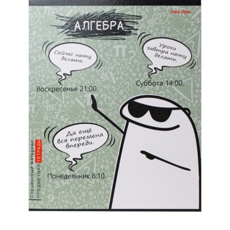 A notebook 48 sheets in a cage school memorials "Algebra", covered cardboard, embossing canvas, offset block