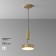 Technical C032CL-24W3K-RD-MG, LED, 24 W, 220x220x60 mm, 1420 lm, 3000K, 2835, matte gold, matte gold