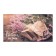 Gift set “Let the dreams come up” with a pocket-carman, a towel, a shoulder blade