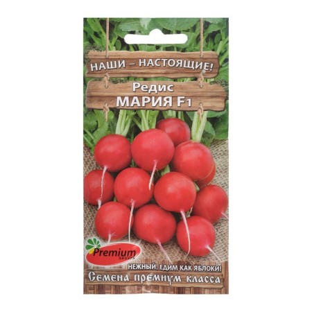 Seeds Radis "Maria", F1, 1 g