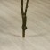 Artificial tree "Indoor eucalyptus" 120 cm