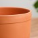 Flower pot "Azalia medium" 2 l, terracott