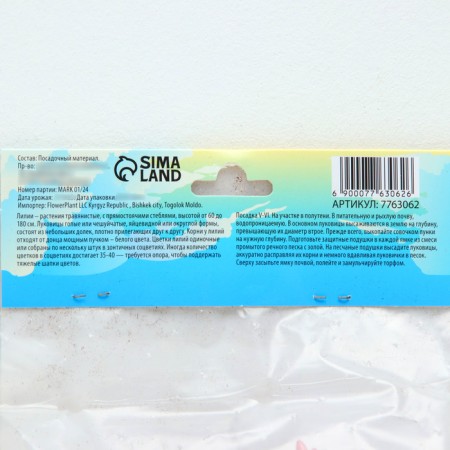 Lilia Hybrid "Konka Dor", district 14/16, 2 pcs.-3